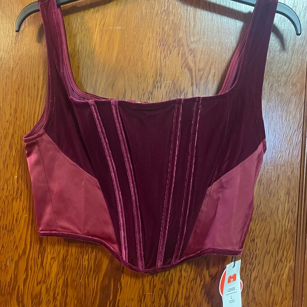NWT Cider Corset Top
